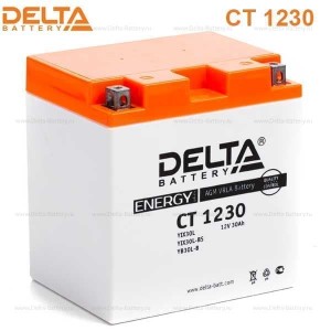Мотоаккумулятор Delta 30 Ач CT 1230 (YTX30L-BS)