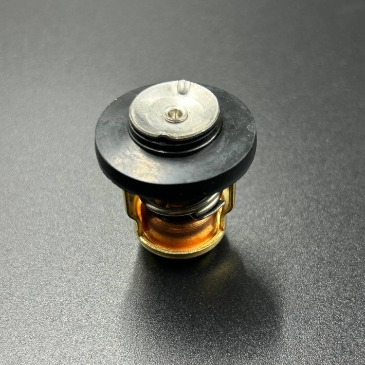 Термостат Yamaha F9,9-60 (66M-12411-01,825212T02) (60°C), арт. 6G8-12411-01-TW,          KACAWA 