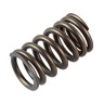 Пружина клапана Suzuki DF60T/70T, арт. 1292160A00000,          Suzuki 