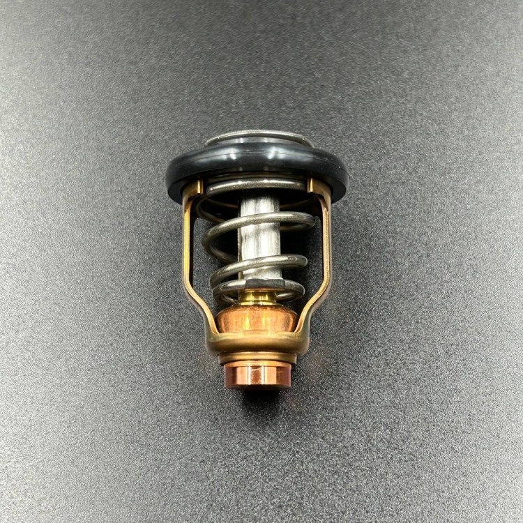 Термостат Yamaha 6CE-12411-00, арт. 6CE-12411-00,          YAMAHA 