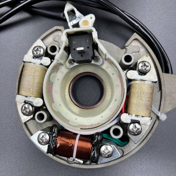 Магнето в сборе с катушкой 12V Yamaha 40X (YUELANG), арт. 66T-85560-01-K,          TAIZHOU YUELANG POWER TECHNOLOGY 