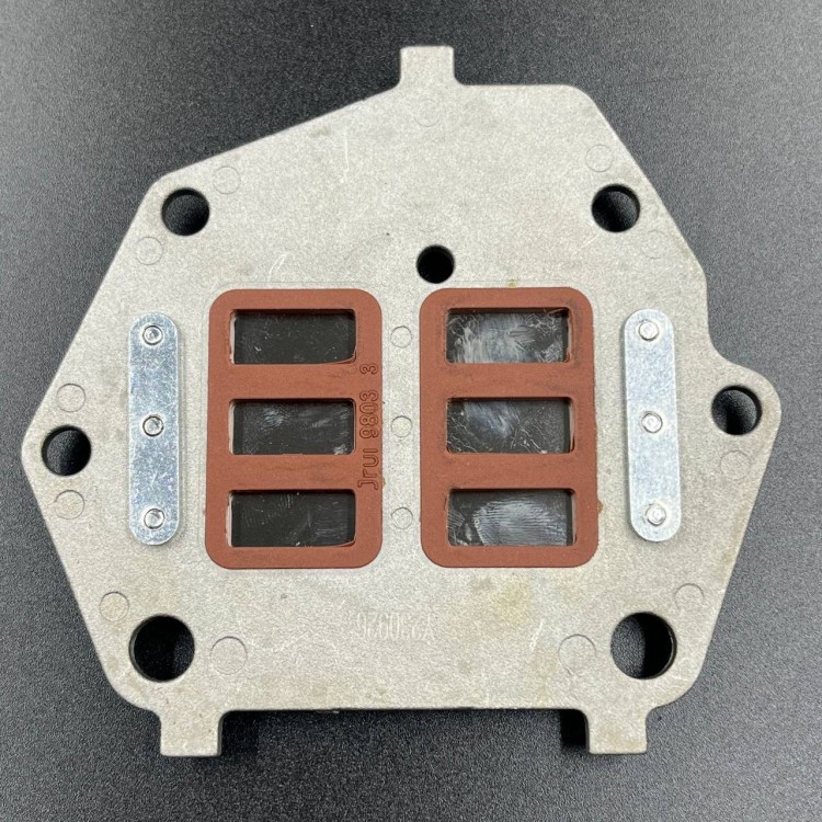 Лепестковые клапана Tohatsu 8-9.8 (9.8F-01.02.03.00) (YUELANG), арт. 3B2-02100-0-K,          TAIZHOU YUELANG POWER TECHNOLOGY 