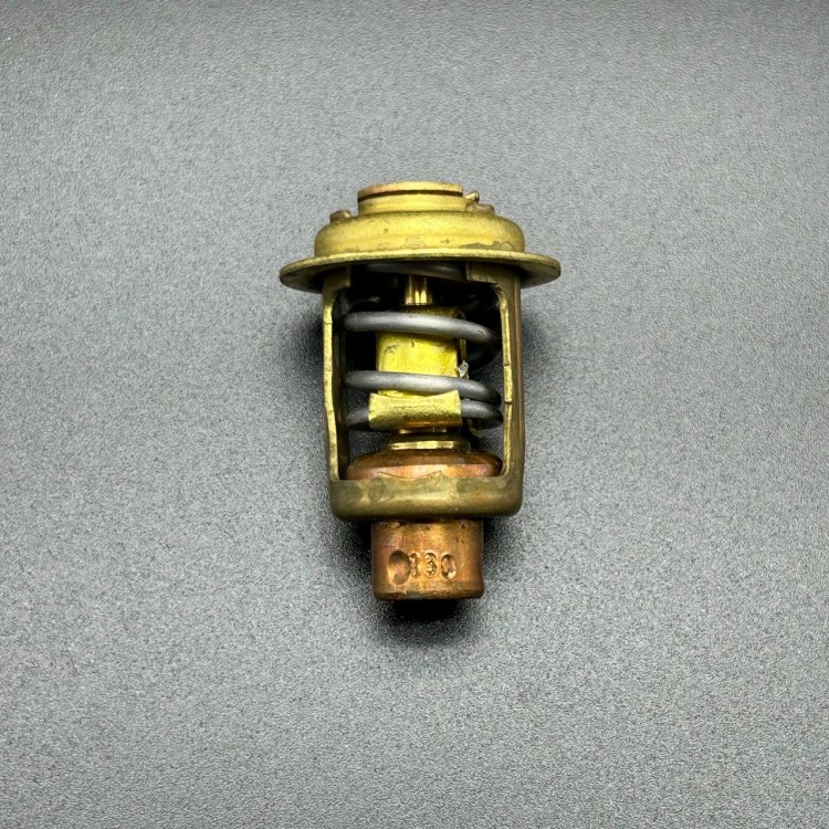 Термостат Mercury 30-40 (Quicksilver), арт. 895338,          MERCURY 