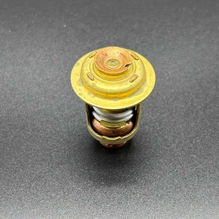 Термостат Mercury 30-40 (Quicksilver), арт. 895338,          MERCURY 