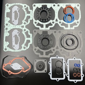 Ремкомплект ДВС BRP Ski-Doo 600 H.O. ETEC (Rotax 600 H.O.) (09-711303, 420889924) (Sinera)