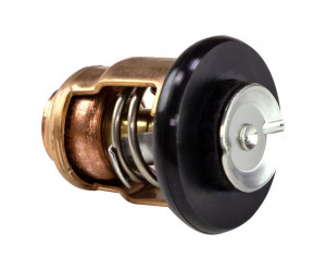 Термостат Yamaha 8-9.9