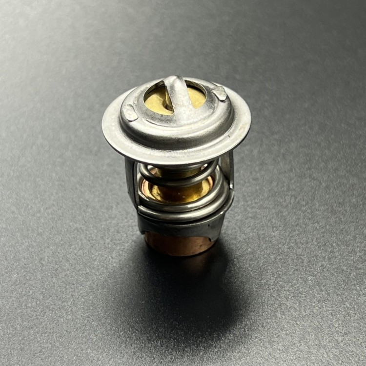 Термостат Mercury 40-60 (Omax), арт. 8M0117413-TW,          OMAX 