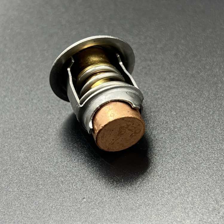 Термостат Mercury 40-60 (Omax), арт. 8M0117413-TW,          OMAX 