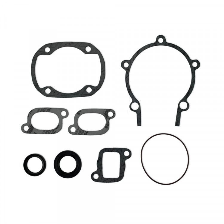 Комплект прокладок полный  для Ski-Doo 300F , 09-711195-ts, арт. 09-711195-ts,          Sledex  Комплект прокладок полный  для Ski-Doo 300F , 09-711195-ts, арт. 09-711195-ts,          Sledex