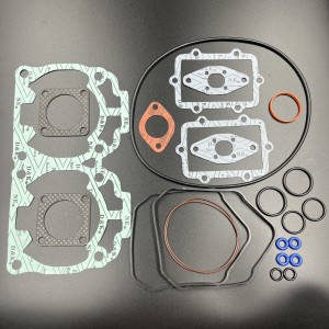 Ремкомплект двигателя SKI-DOO 600 H.O. (09-710278, 420889922, 420889925, 420889926, 420889927)