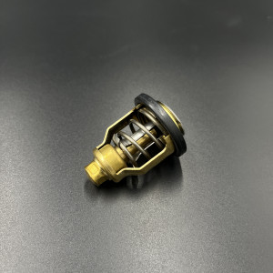 Термостат Yamaha F100-150
