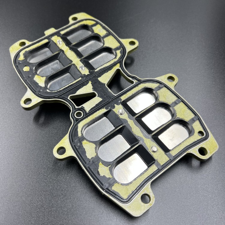 Лепестковые клапана Yamaha 40X (В сборе) (YUELANG), арт. 66T-13610-00-K,          TAIZHOU YUELANG POWER TECHNOLOGY 