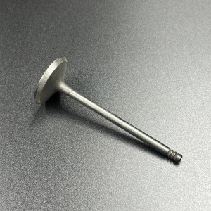 КЛАПАН ВПУСКНОЙ CFM 800 (ZIBO)