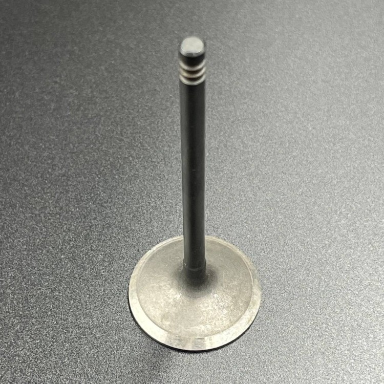 КЛАПАН ВПУСКНОЙ CFM 800 (ZIBO), арт. 0800-022004-K,          ZIBO 