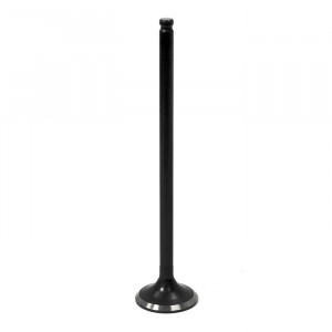 Выпускной клапан Polaris AU-09192E