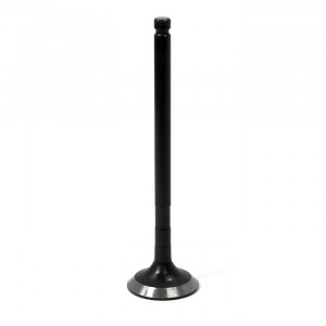 Выпускной клапан Polaris AU-09193E