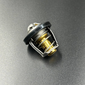 Термостат ATV X8, Z8, U8, X5 H.O, X4, X10 U10 Z10 EPS (ZIBO)