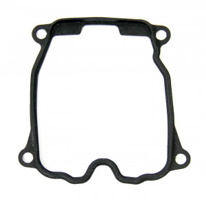 Прокладка клапанной крышки BRP S410089015001