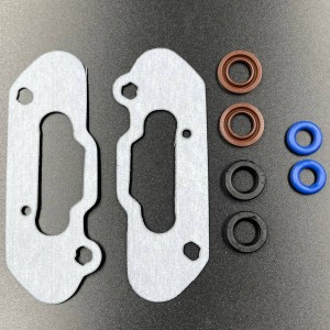 Комплект прокладок RAVE клапана BRP (420430030, 420430032) (KINETIX)