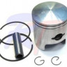 Поршень (стд) с кольцами Arctic Cat,Рысь 440, 3005-920, арт. RTT-3005-920,          Rivertec 