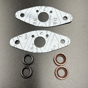 Комплект прокладок RAVE клапана BRP (420250234, 420250239) (KINETIX)