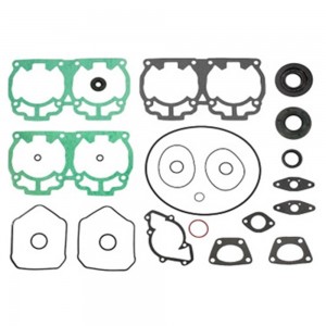 Комплект прокладок с сальниками  для Ski-Doo 600LC, 09-711235-ts