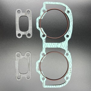 Ремкомплект двигателя SKI-DOO 550 (03-10 г.в.) (09-710277) (Osaka)