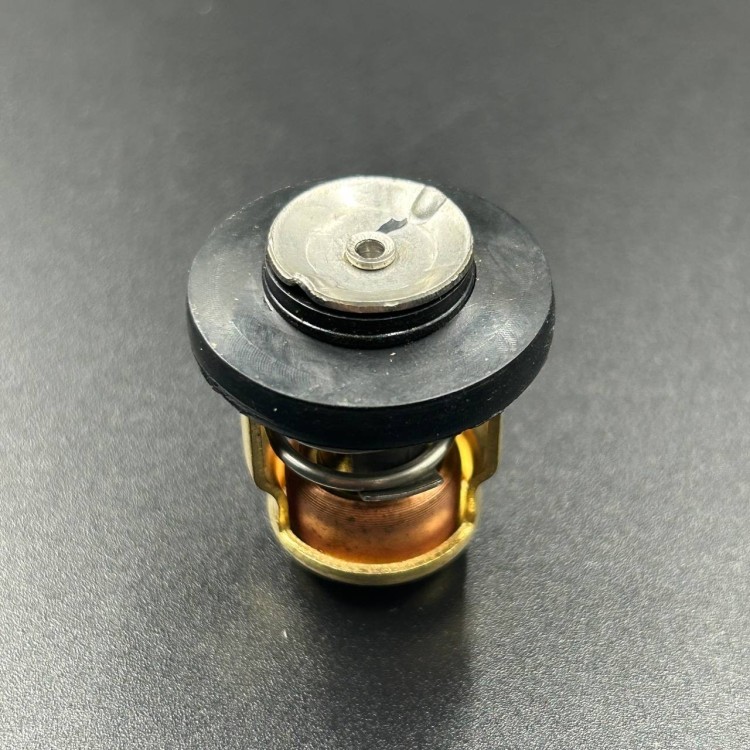 Термостат Yamaha 3-250, арт. 6E5-12411-30-TW,          OMAX 