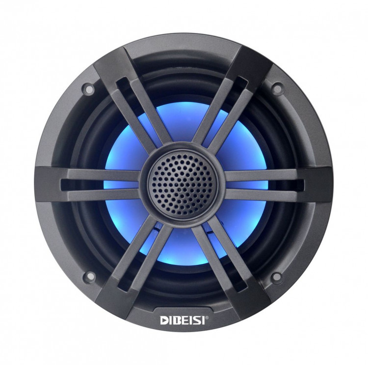 Морская акустика RGB, арт. DBS6528T-RGB,          Diibeisi 