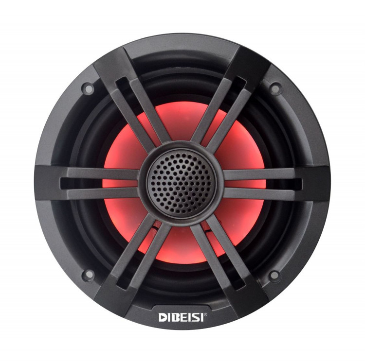 Морская акустика RGB, арт. DBS6528T-RGB,          Diibeisi 