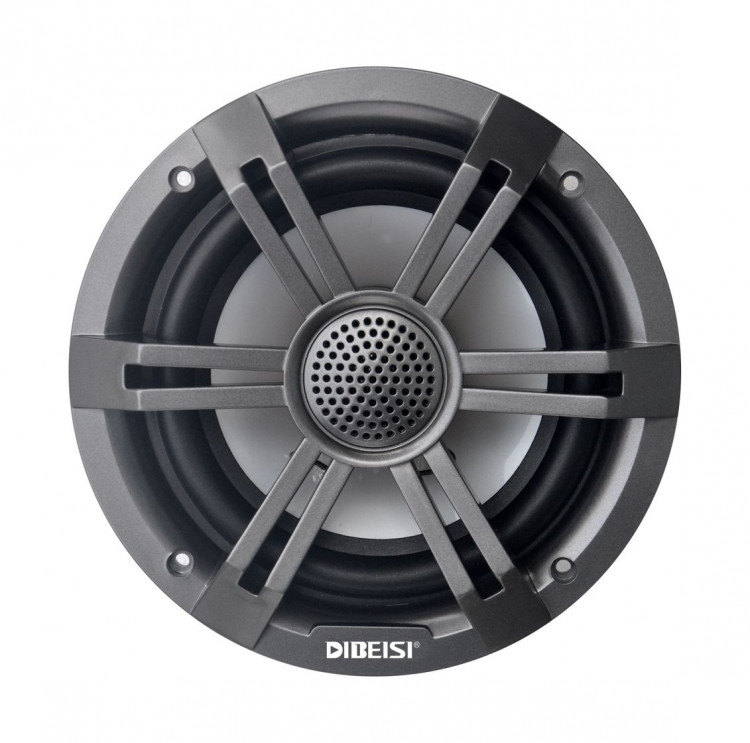 Морская акустика RGB, арт. DBS6528T-RGB,          Diibeisi 