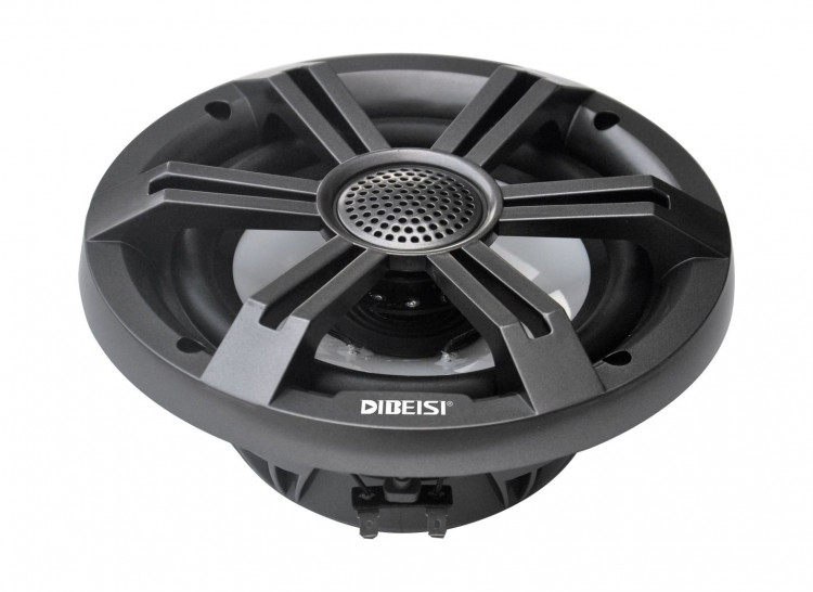 Морская акустика RGB, арт. DBS6528T-RGB,          Diibeisi 