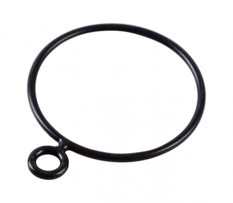 Уплотнение впуска Yamaha 40-50/60-70, арт. 6H41419801_RM,          Recmar 