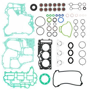 Комплект прокладок полный  для Ski-Doo 900 ACE, SM-09529F-ts 