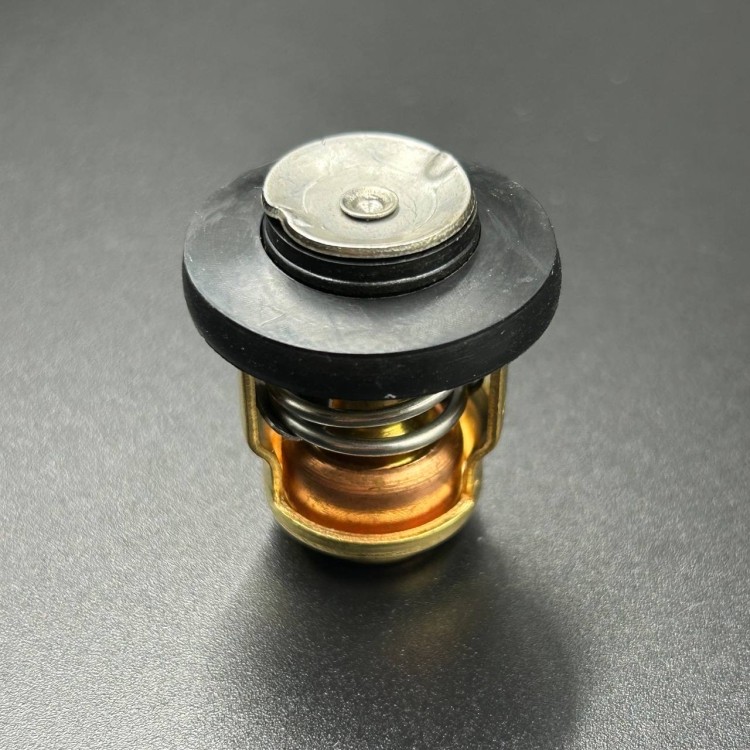 Термостат Mercury/Yamaha 8-15 4т (60°С) (66M-12411-01; 6G8-12411-00), арт. 855676A1-TW,          OMAX 