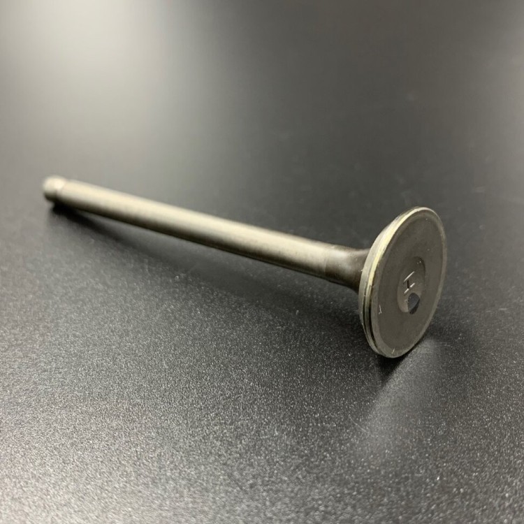 Клапан выпускной Suzuki DF40-50, DF40-60(A) (Suzuki), арт. 12915-73G20,          SUZUKI 