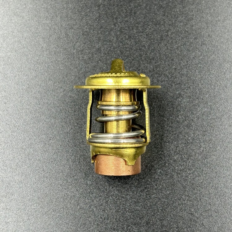 Термостат Mercury 135-200 (Omax), арт. 75692-TW,          OMAX 