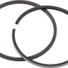 Поршневые кольца Polaris 488LC (+1,0 мм) 09-719-04R, SPI     