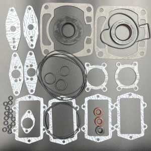 Полный комплект прокладок Arctic Cat 600 Sno-pro, ZR 6000 (KINETIX)