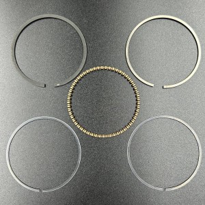 Кольца поршневые, комплект на один поршень Parsun F8-9.8 (3V1-87123-0; 39-8M0080346) (PREMARINE)