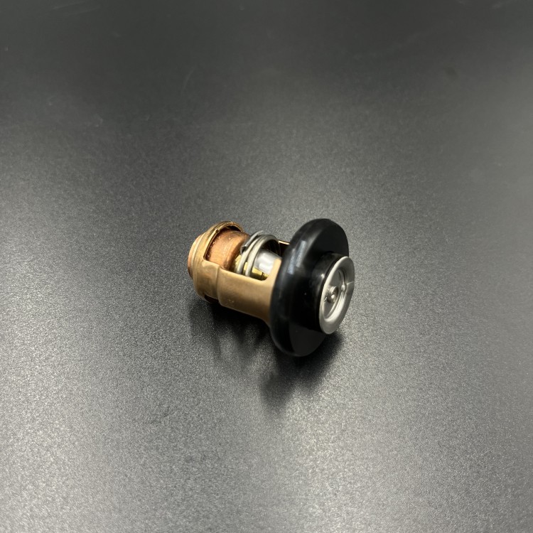 Термостат Yamaha F9.9-20 (Yamaha), арт. 6AH-12411-00,          YAMAHA 