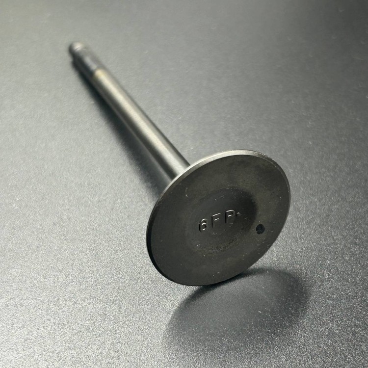Клапан впускной F75-100 (Yamaha), арт. 6FP-12111-00,          YAMAHA 