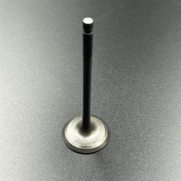 Клапан впускной F75-100 (Yamaha), арт. 6FP-12111-00,          YAMAHA 