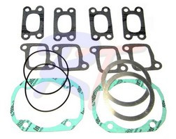 Комплект прокладок BRP Skandic 500 WT, арт. RTT-710196-NT,          Rivertec 