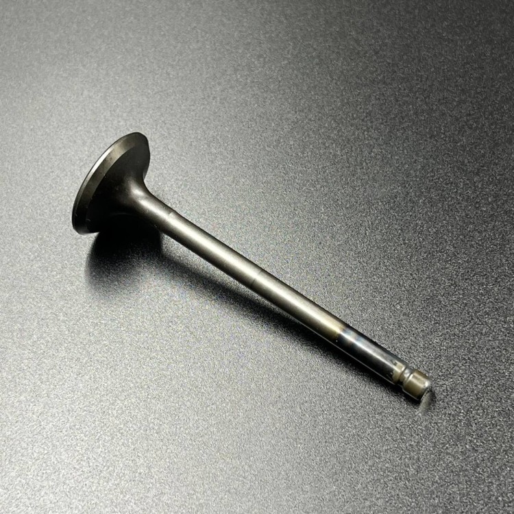 Клапан выпускной Yamaha F20-60 FT25-60 (Yamaha), арт. 69W-12121-10,          YAMAHA 