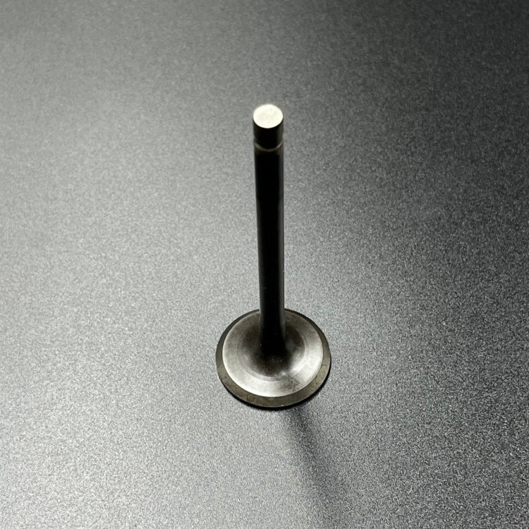 Клапан выпускной Yamaha F20-60 FT25-60 (Yamaha), арт. 69W-12121-10,          YAMAHA 