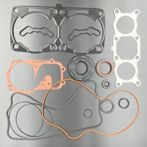 Полный комплект прокладок POLARIS 800 AXIS 2018-2020 (SM-09506F-2) (KINETIX)