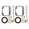 Ремкомплект карбюратора  для Ski-Doo, SM-07625-ts, арт. SM-07625-ts,          Sledex 