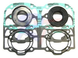 Комплект прокладок с сальниками BRP Skandic 550 WT, арт. RTT-711277-NT,          Rivertec 