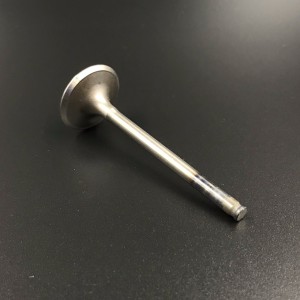 Клапан впускной Honda BF15-20 (Honda)